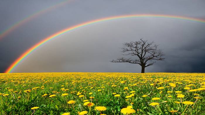 Regenbogen